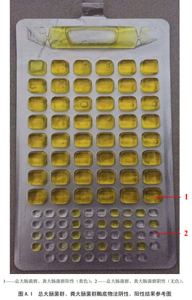 總大腸菌群、糞大腸菌群酶底物法陰性、陽性結(jié)果參考圖